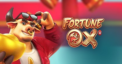 Novlbet.com