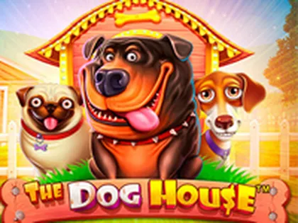 Jogo crash aposta