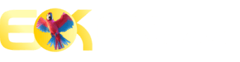 Evolution gaming - 3335bet